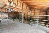 409 Old Snag Circle - Photo 41
