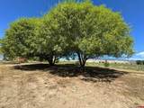 1491 Highway 50 - Photo 29