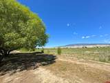 1491 Highway 50 - Photo 30