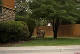 109 Ace Court - Photo 45