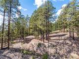 85 Pine Ridge Drive - Photo 6