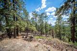 85 Pine Ridge Drive - Photo 7