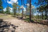 85 Pine Ridge Drive - Photo 9