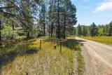 412 Cadillac Canyon Road - Photo 38