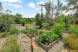 504 Clovis Drive - Photo 4