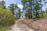 3111 Durango Cliffs Drive - Photo 10