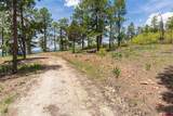 3111 Durango Cliffs Drive - Photo 11