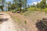 3111 Durango Cliffs Drive - Photo 12