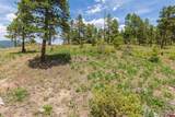 3111 Durango Cliffs Drive - Photo 21