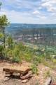 3111 Durango Cliffs Drive - Photo 25