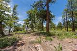 3111 Durango Cliffs Drive - Photo 28