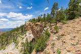 3111 Durango Cliffs Drive - Photo 29