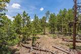 3111 Durango Cliffs Drive - Photo 31