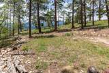 3111 Durango Cliffs Drive - Photo 33