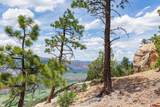3111 Durango Cliffs Drive - Photo 6