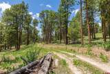 3111 Durango Cliffs Drive - Photo 8