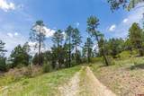 3111 Durango Cliffs Drive - Photo 9