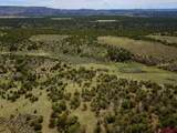 3141 County Road 130 - Photo 9