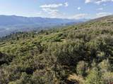 1085 Purple Sage Road - Photo 8