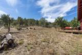29022 Highway 160 Highway - Photo 33