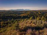 TBD Silvermine Drive - Photo 18