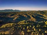 TBD Silvermine Drive - Photo 19