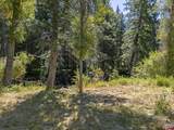 13484 County Road 240 - Photo 13