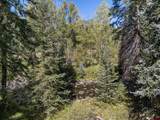 13484 County Road 240 - Photo 2