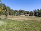 13484 County Road 240 - Photo 6