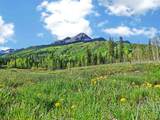 50827 Hwy 550 - Photo 27