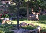 26 Inverness Place - Photo 16