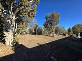 13731 Road N.8 - Photo 28