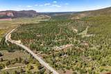 3421 Highway 160 - Photo 3