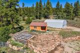 3421 Highway 160 - Photo 32