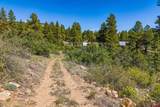 3421 Highway 160 - Photo 41