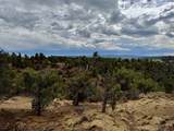 2543 Wrangler Way - Photo 8