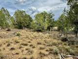 2647 Wrangler Way - Photo 4