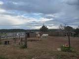 5095 & 5093 County Road 311 - Photo 44