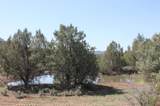 3605 Cr 307 - Photo 18