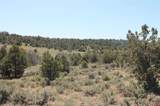 3605 Cr 307 - Photo 29