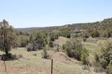 3605 Cr 307 - Photo 30