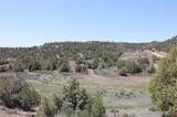 3605 Cr 307 - Photo 31