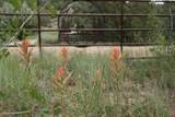 3605 Cr 307 - Photo 9