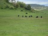 6221 Hwy 84 - Photo 29