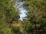 6221 Hwy 84 - Photo 34
