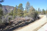77 Winterberry Ct (Lot 124) - Photo 6