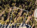 46 Avalanche Lily Dr. (Lot 131) - Photo 1
