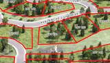 46 Avalanche Lily Dr. (Lot 131) - Photo 10