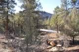 46 Avalanche Lily Dr. (Lot 131) - Photo 6