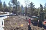 35 Snowdrop Ct. (Lot 141) - Photo 5